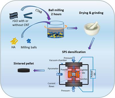 Friction and Wear Behaviors of Reduced Graphene Oxide- and Carbon Nanotube-Reinforced Hydroxyapatite Bioceramics